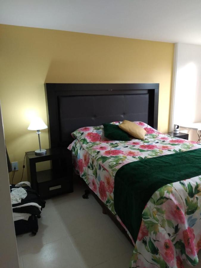 Charming Sunny Bedroom Overlooking Beautiful Amsterdam Avenue In Best Condesa Area メキシコシティ エクステリア 写真