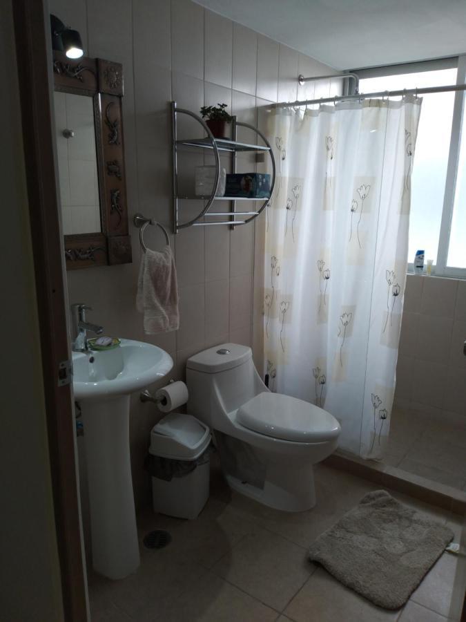 Charming Sunny Bedroom Overlooking Beautiful Amsterdam Avenue In Best Condesa Area メキシコシティ エクステリア 写真