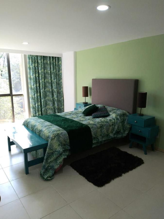 Charming Sunny Bedroom Overlooking Beautiful Amsterdam Avenue In Best Condesa Area メキシコシティ エクステリア 写真
