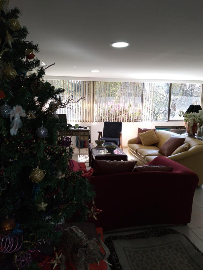 Charming Sunny Bedroom Overlooking Beautiful Amsterdam Avenue In Best Condesa Area メキシコシティ エクステリア 写真