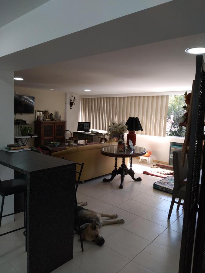 Charming Sunny Bedroom Overlooking Beautiful Amsterdam Avenue In Best Condesa Area メキシコシティ エクステリア 写真