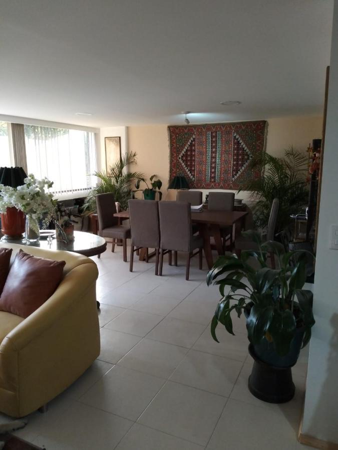Charming Sunny Bedroom Overlooking Beautiful Amsterdam Avenue In Best Condesa Area メキシコシティ エクステリア 写真