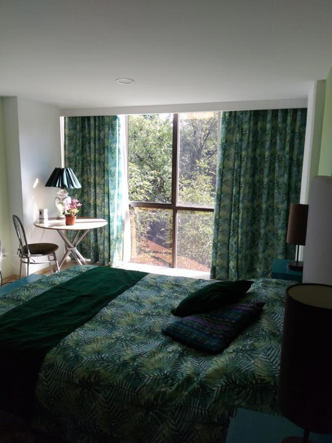 Charming Sunny Bedroom Overlooking Beautiful Amsterdam Avenue In Best Condesa Area メキシコシティ エクステリア 写真