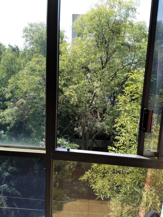 Charming Sunny Bedroom Overlooking Beautiful Amsterdam Avenue In Best Condesa Area メキシコシティ エクステリア 写真