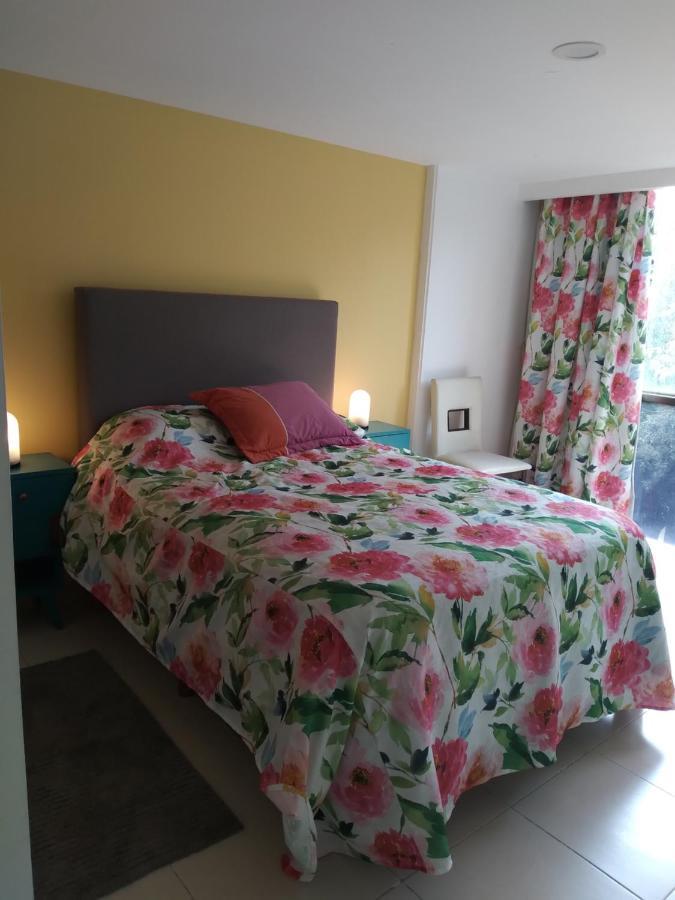 Charming Sunny Bedroom Overlooking Beautiful Amsterdam Avenue In Best Condesa Area メキシコシティ エクステリア 写真
