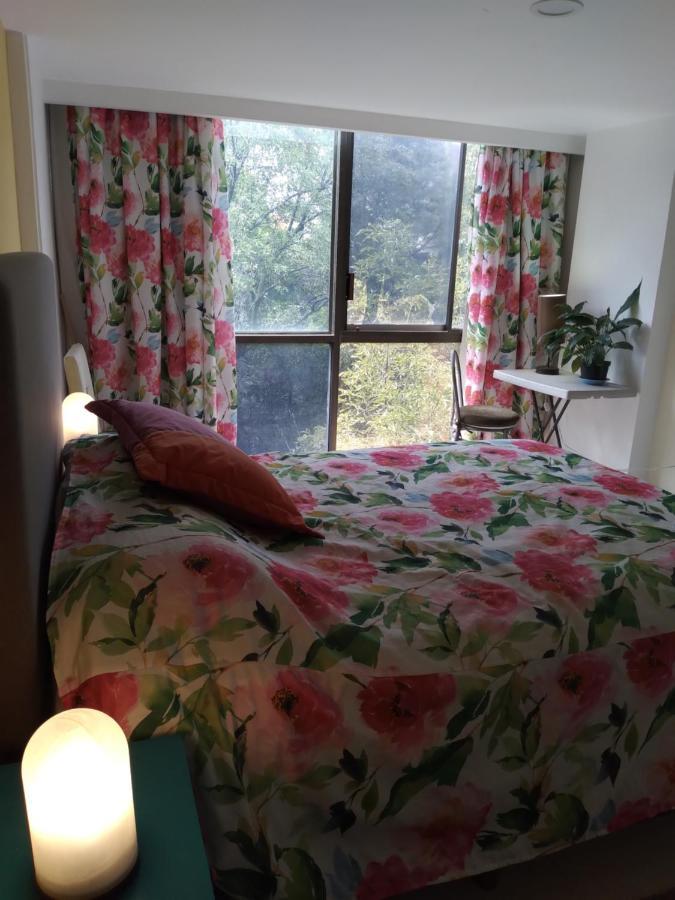 Charming Sunny Bedroom Overlooking Beautiful Amsterdam Avenue In Best Condesa Area メキシコシティ エクステリア 写真