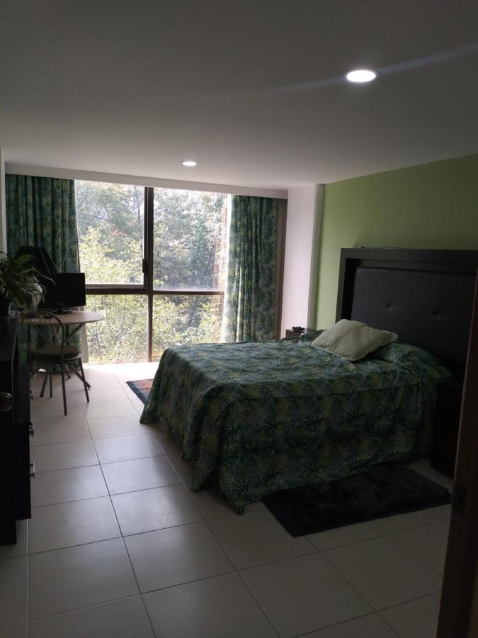 Charming Sunny Bedroom Overlooking Beautiful Amsterdam Avenue In Best Condesa Area メキシコシティ エクステリア 写真