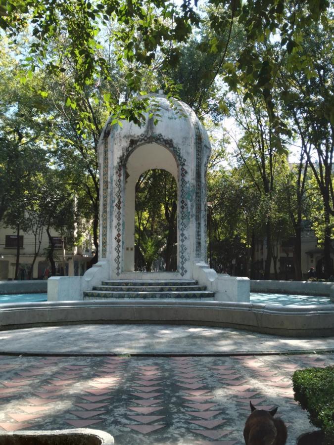 Charming Sunny Bedroom Overlooking Beautiful Amsterdam Avenue In Best Condesa Area メキシコシティ エクステリア 写真